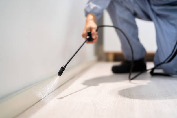 Licensed Pest Control service in Scottville, MI - Show Me Pest Control