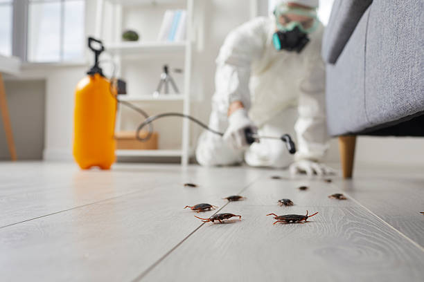 Commercial Kitchen Cockroach Control in Scottville
